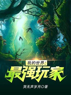 我的世界:最强玩家