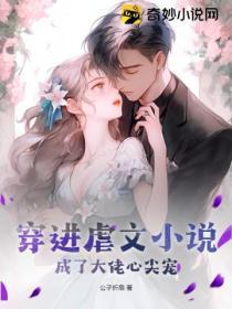 穿进虐文小说:成了大佬心尖宠