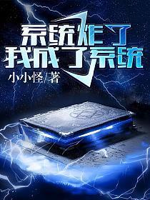 系统炸了,我成了系统